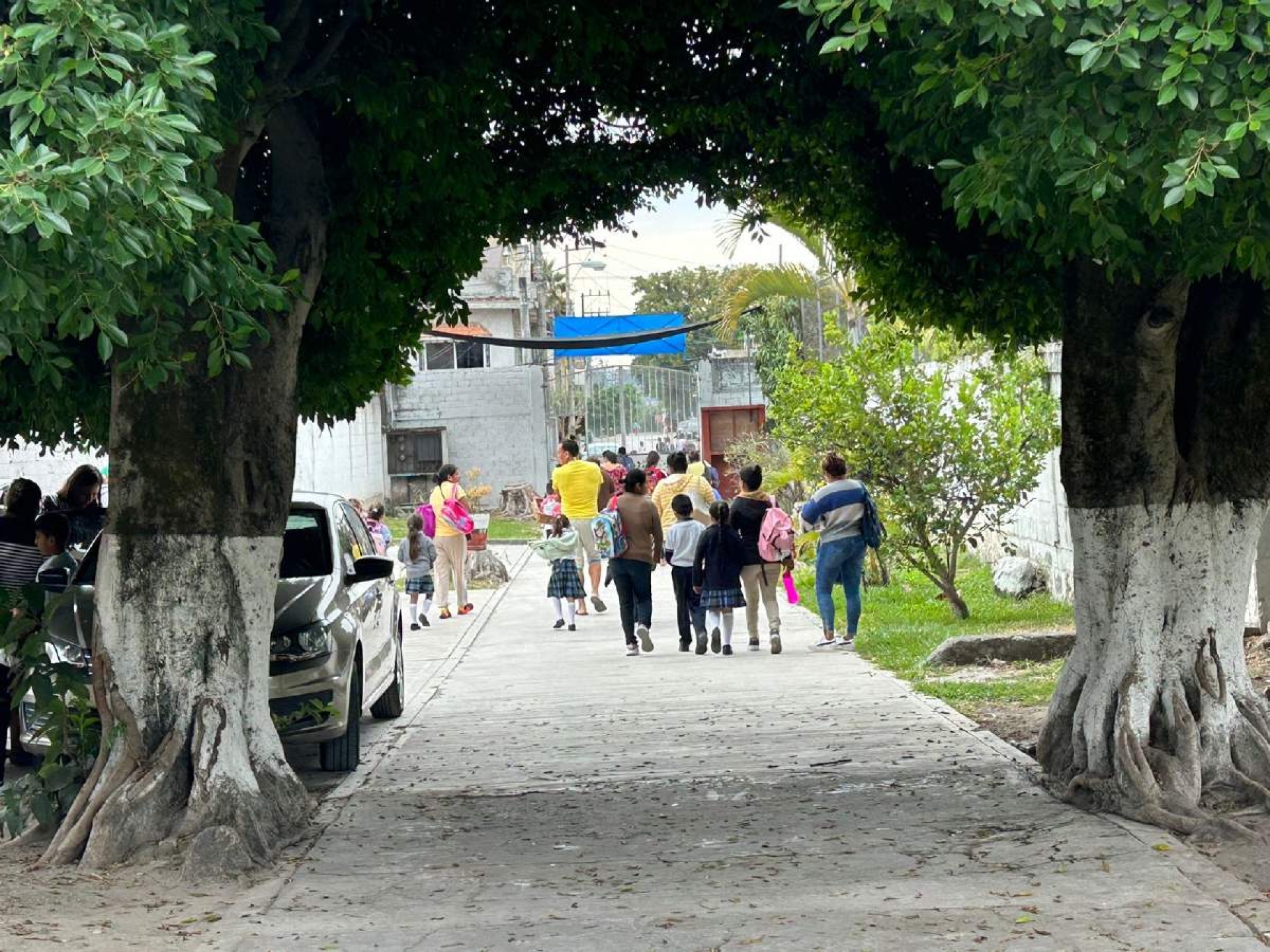 Murió al caer de la azotea de su casa