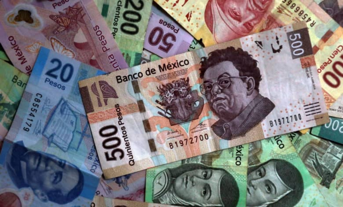 Publican en el Diario Oficial el Presupuesto de Egresos de la Federación 2022