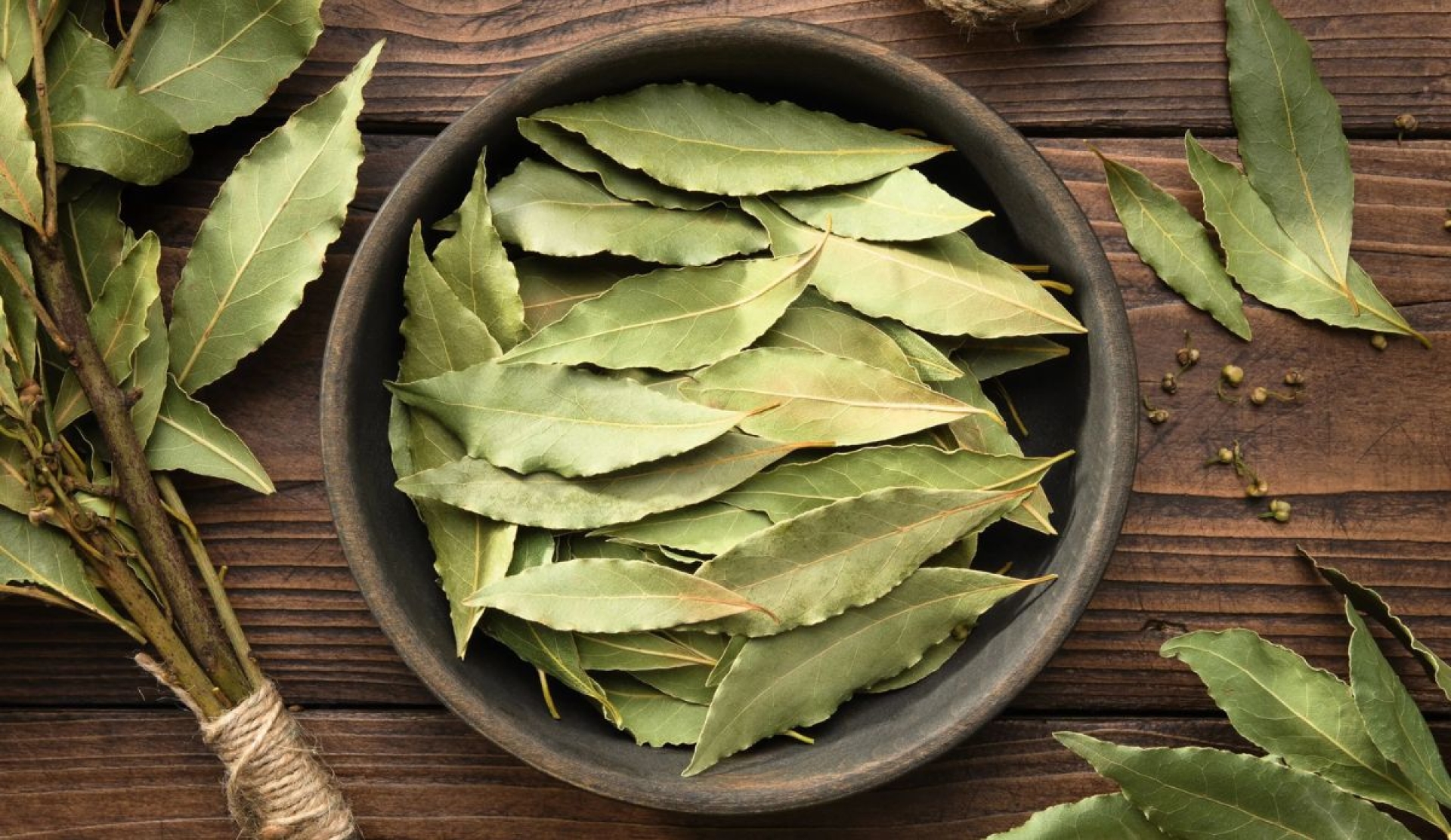 Cómo usar hojas de laurel en casa para alejar cucarachas naturalmente
