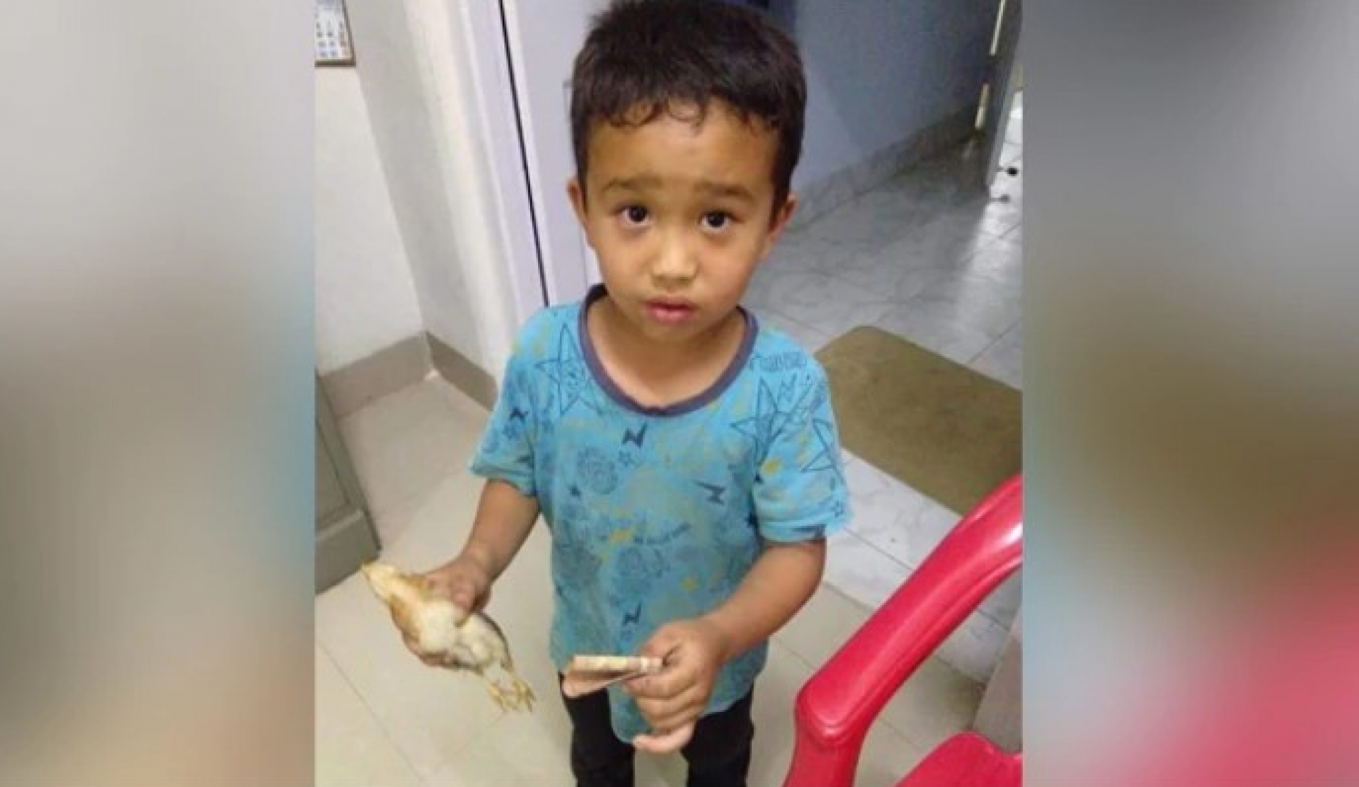 Atropelló a un pollito con su bicicleta y lo llevó al hospital con todos sus ahorros
