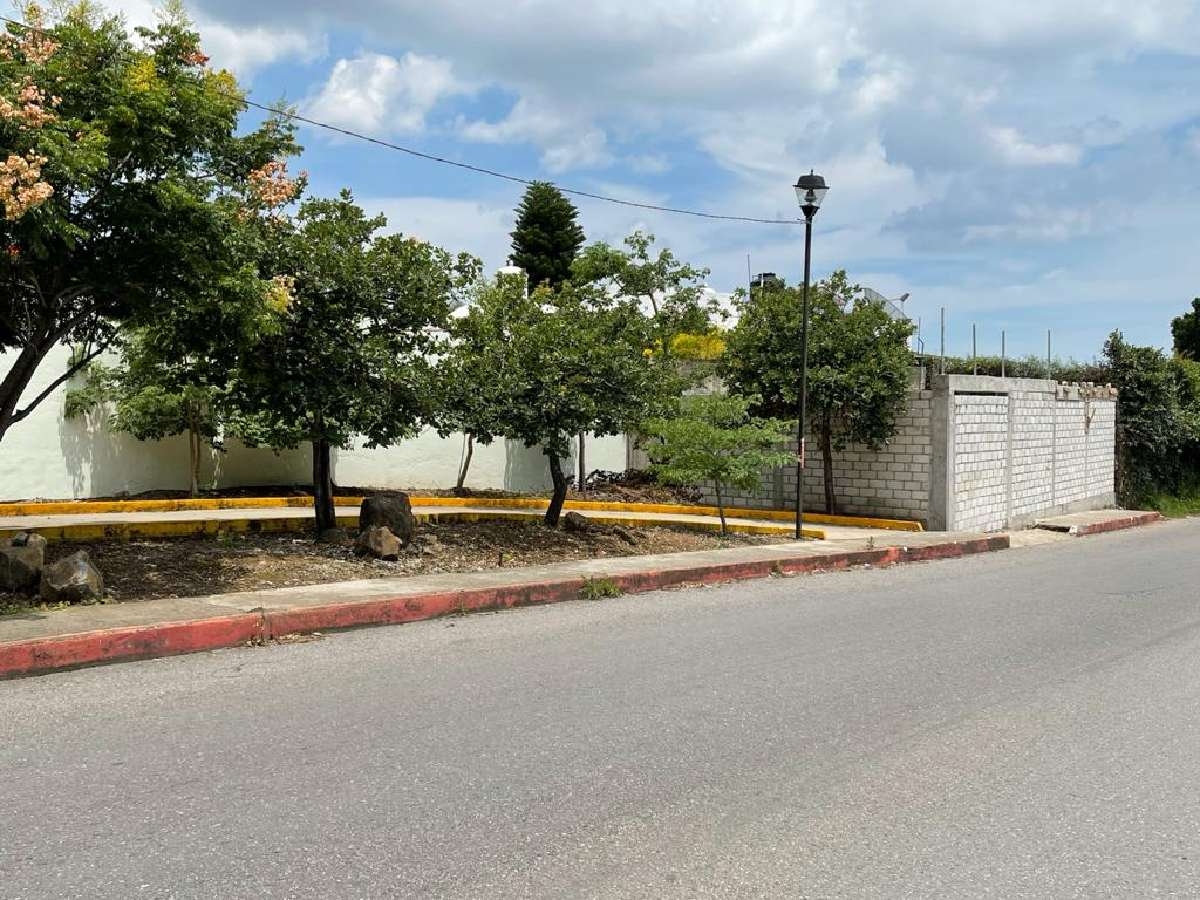 Invaden áreas verdes de la avenida Juan Pablo II