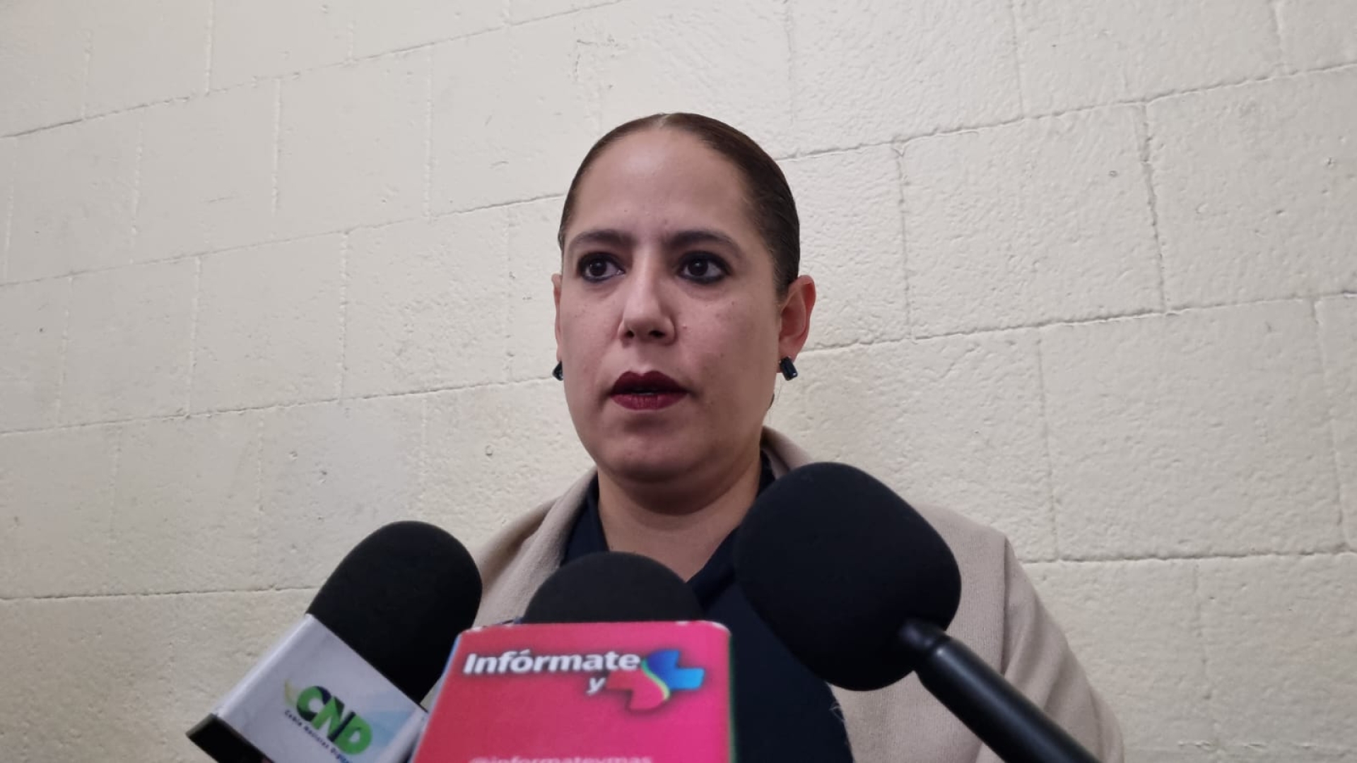 Mega puente en educación