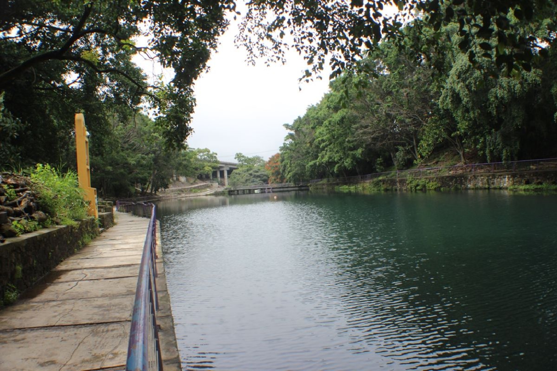 Las descargas de agua coloreada al manantial Chapultepec, de una plaza comercial: CDHEM