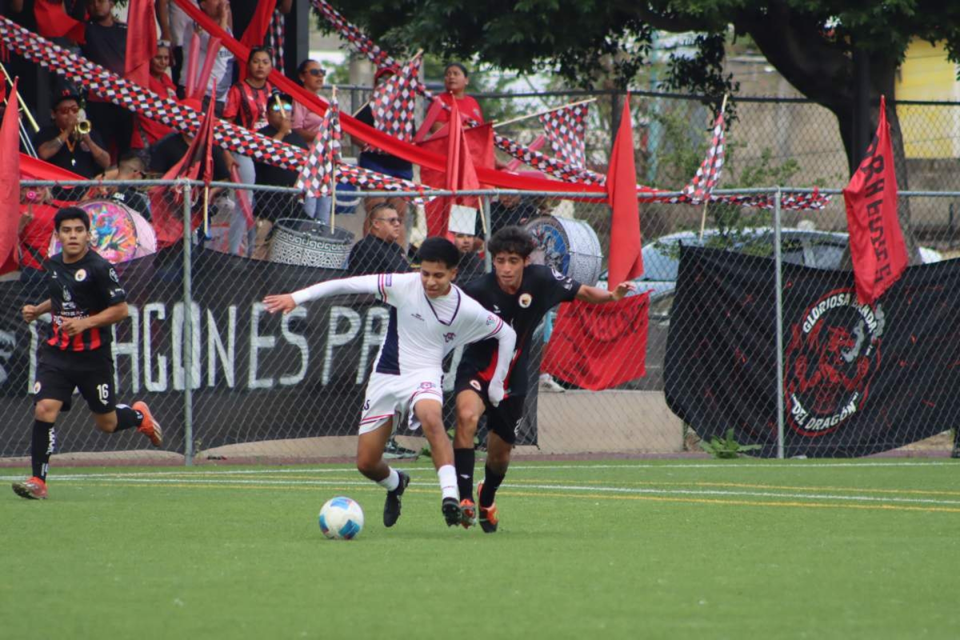 ¡Ánimo, Real Morelos!