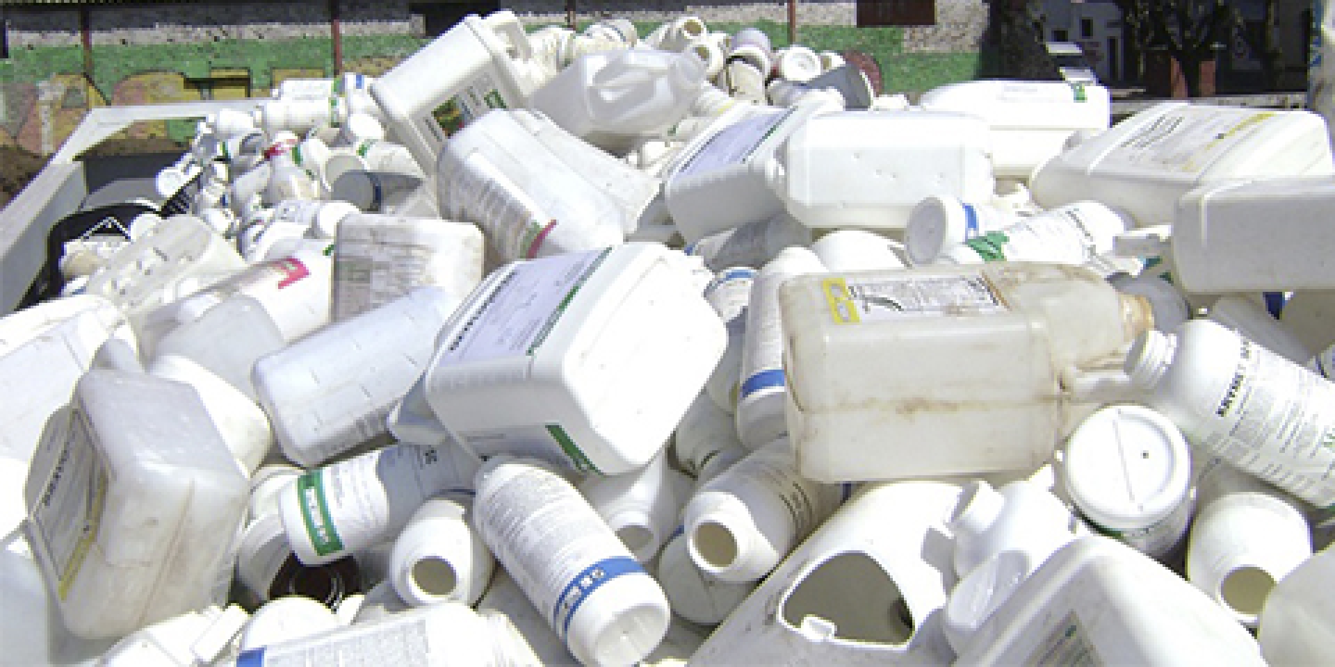 Continúa recolección de envases de plaguicidas