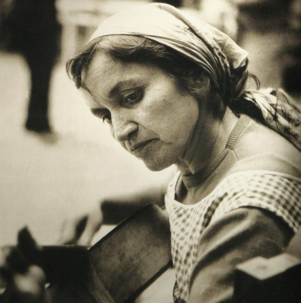 Cuarteto Latinoamericano y Javiera Parra evocan poética de Violeta Parra