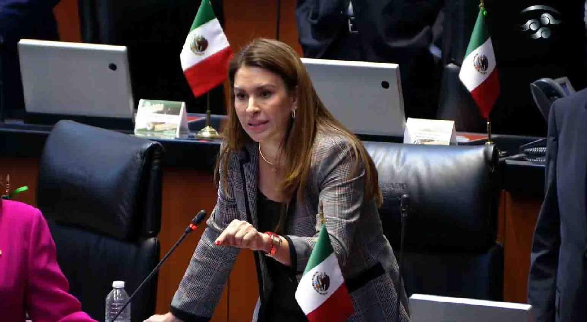 La agonizante oposición