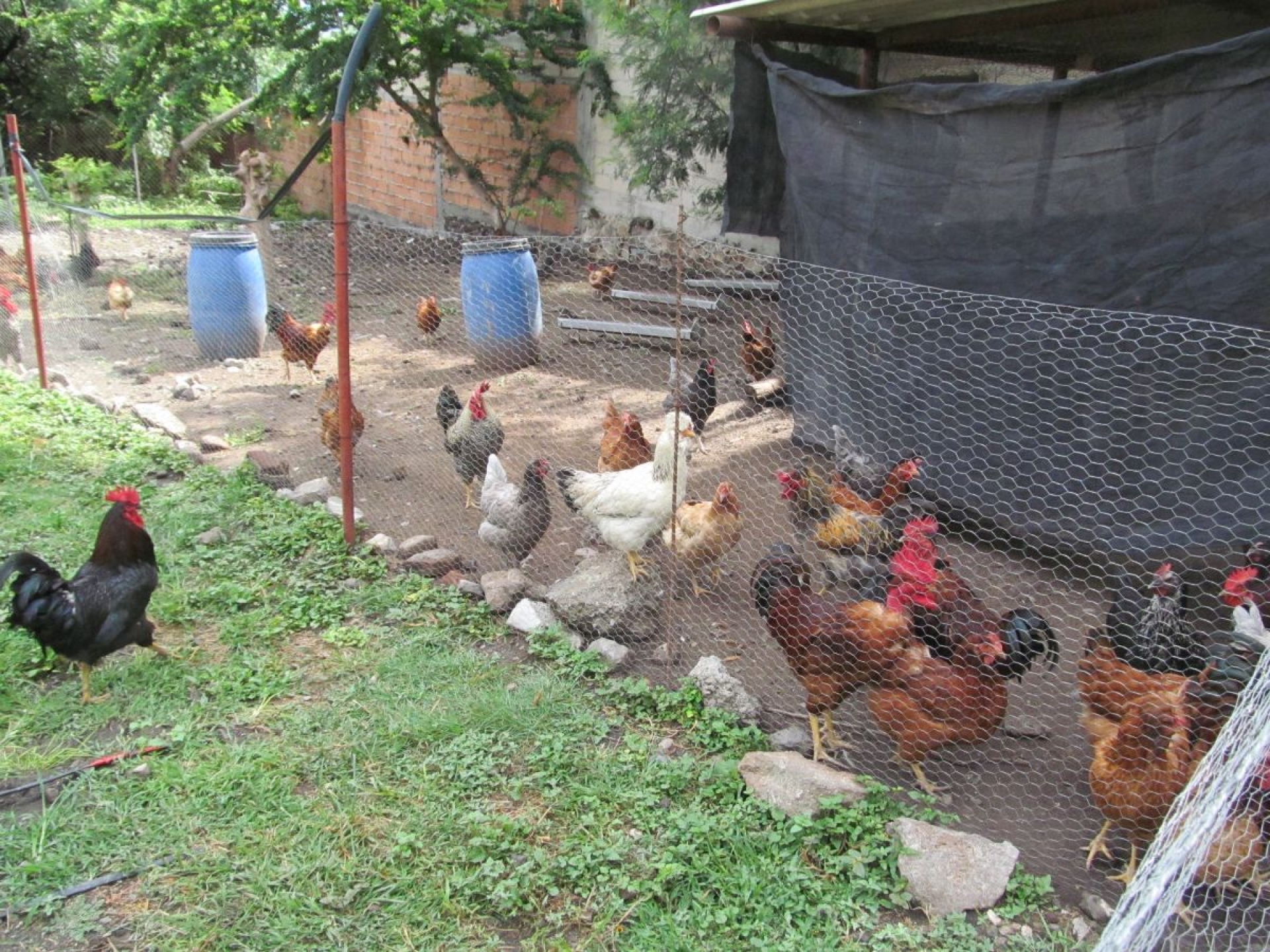 Secundaria Técnica de Jojutla, la primera agroecológica del país