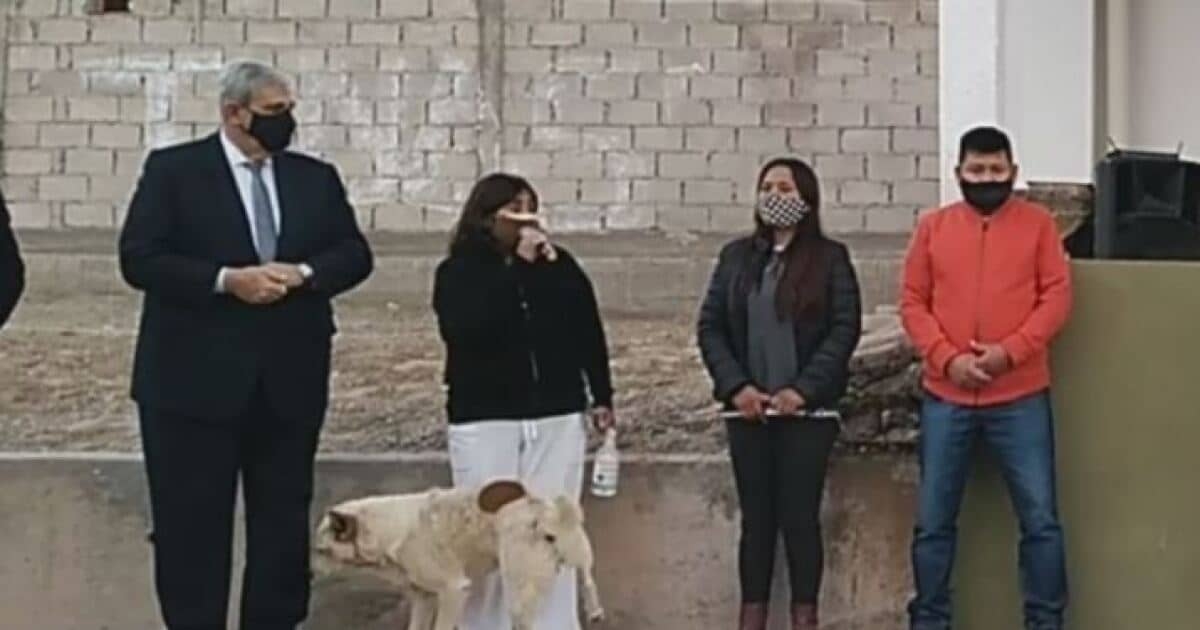 Perrito orina a alcaldesa durante acto público
