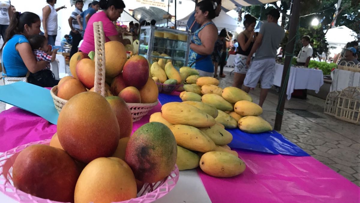 Hoy termina la feria de las frutas tropicales de Coatlán del Río