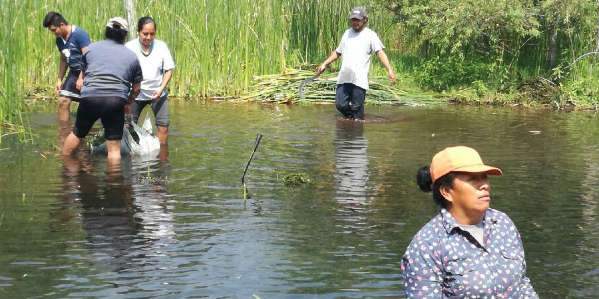 Trabajan comuneros y SDS en la limpieza de la laguna de Hueyapan