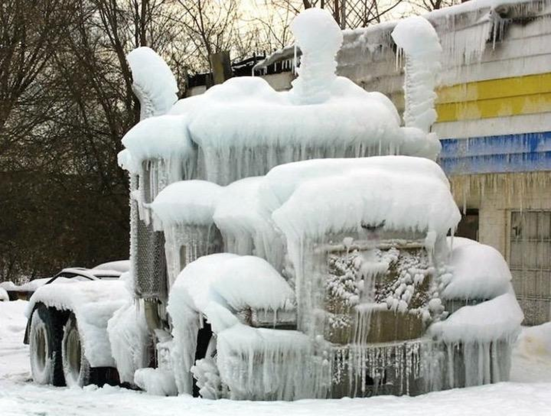En Chicago, más frío que en el Everest y la Antártica; prevén -50 grados
