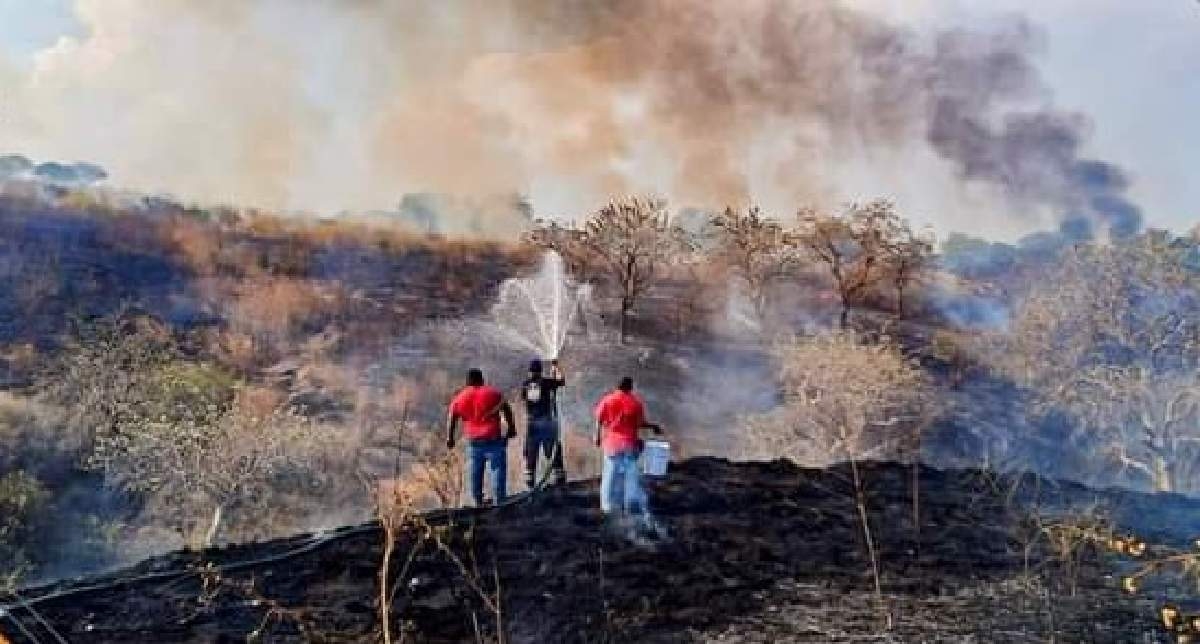 Piden evitar incendios en pastizales