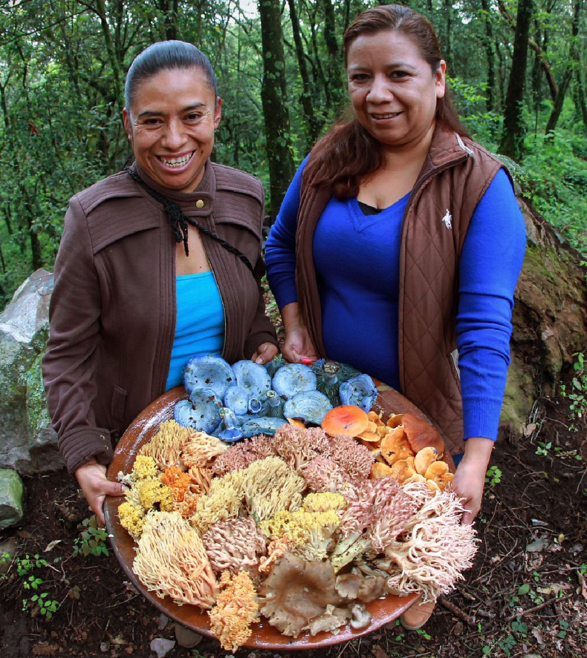 El bosque de los hongos azules, una propuesta eco turística