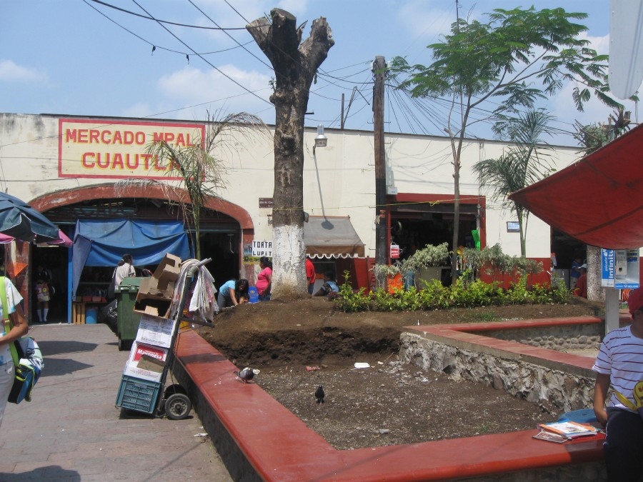 Buscan rescatar la oficina de Industria y Comercio del Ayuntamiento de Cuautla