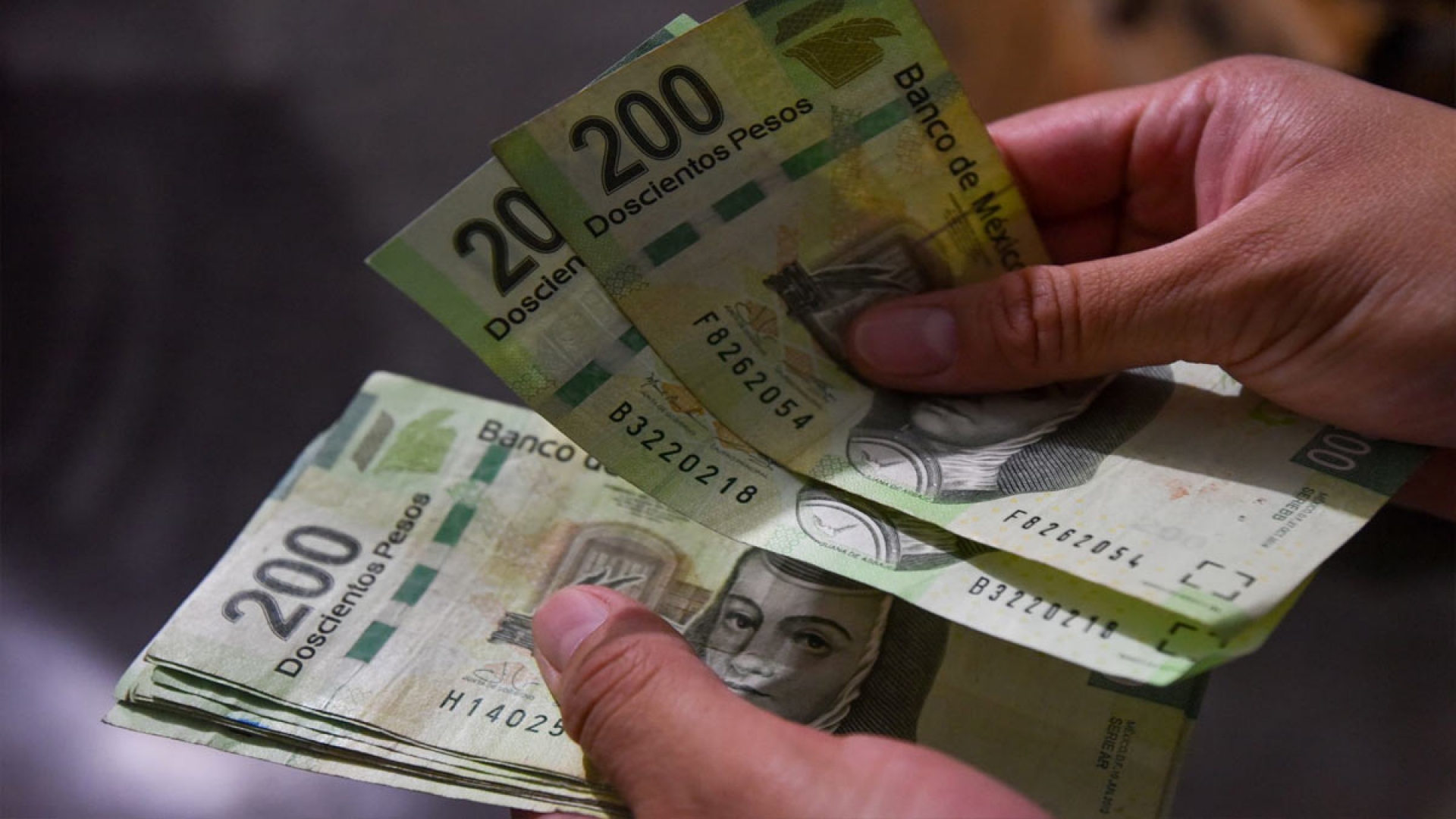 ¡Crédito sin aval! Darán hasta 10 mil pesos en Morelos para que compres esto