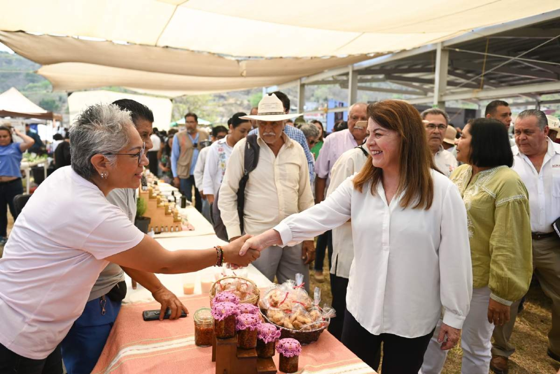 Se inculcará cultura agroecológica: gobernadora