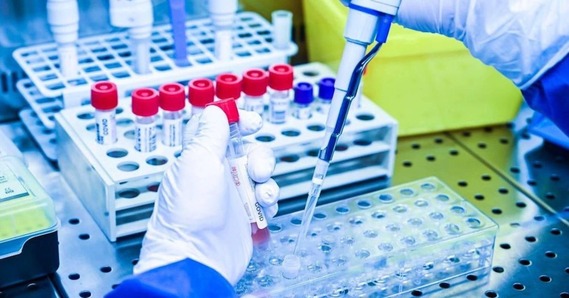 Científicos del IPN desarrollan medicamento contra el COVID-19