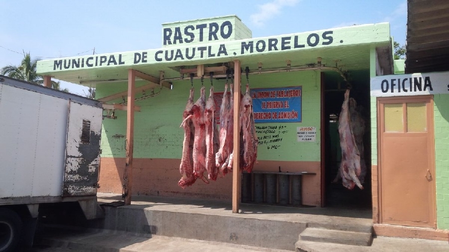 Rechaza rastro de Cuautla reses con clembuterol