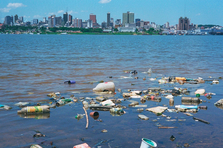 Animales, sequía y no más bolsas de plástico