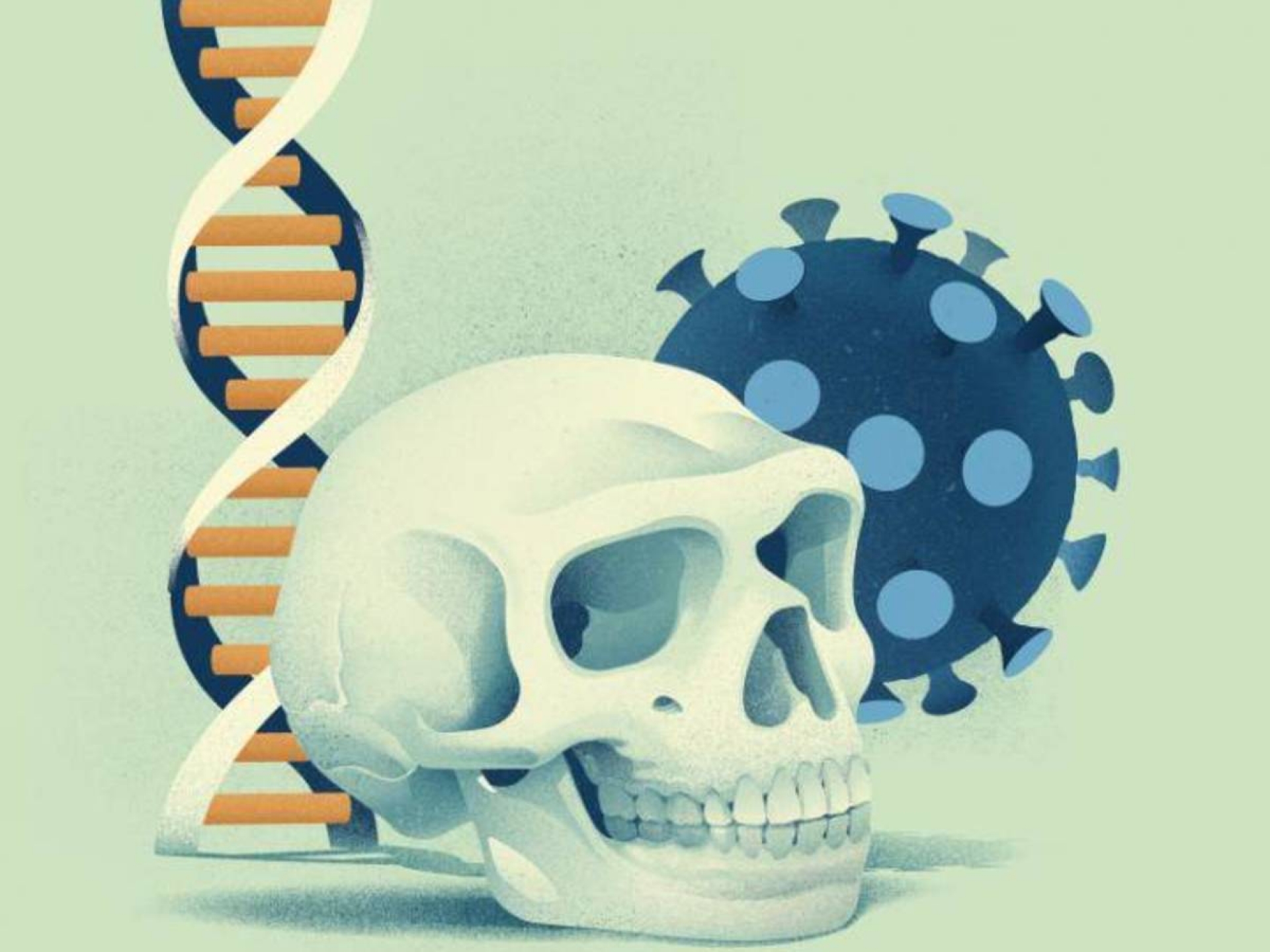 Los genes que reducen un 22% el riesgo de covid grave y se heredan de los neandertales
