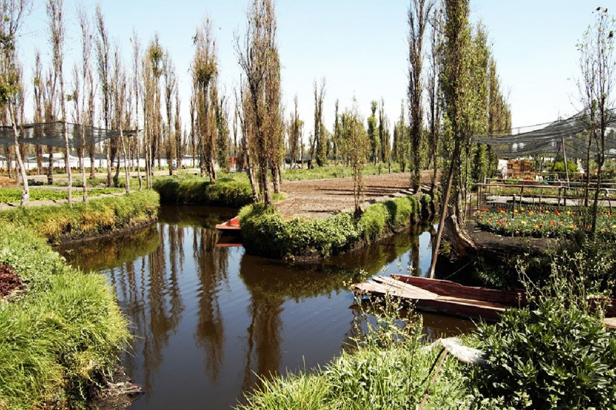 #SoyXochimilco