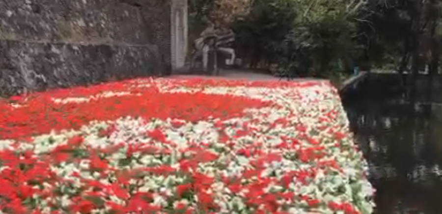 Inauguran el Festival Internacional de la Primavera en el Parque Ecológico Chapultepec