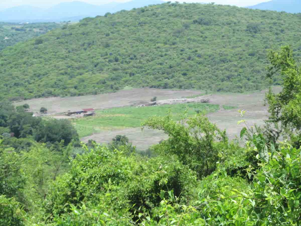 Pandemia afectó los recursos del cerro “De la Tortuga”