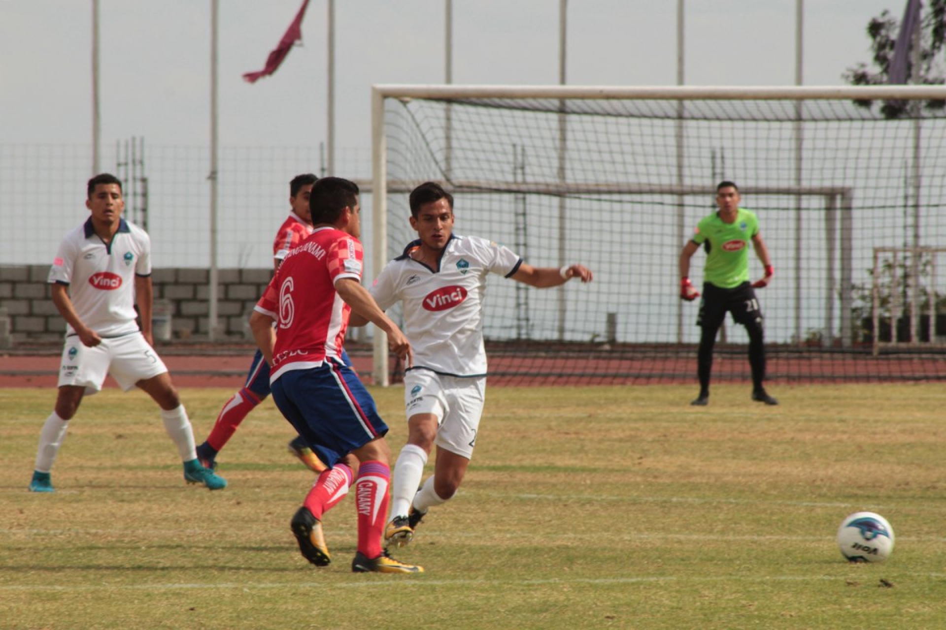 Halcones, intratables
