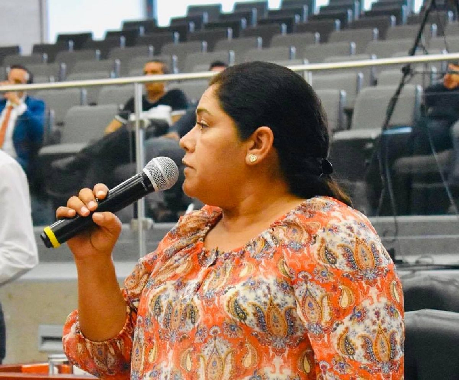 Defienden adquisición masiva de vehículos en el Congreso