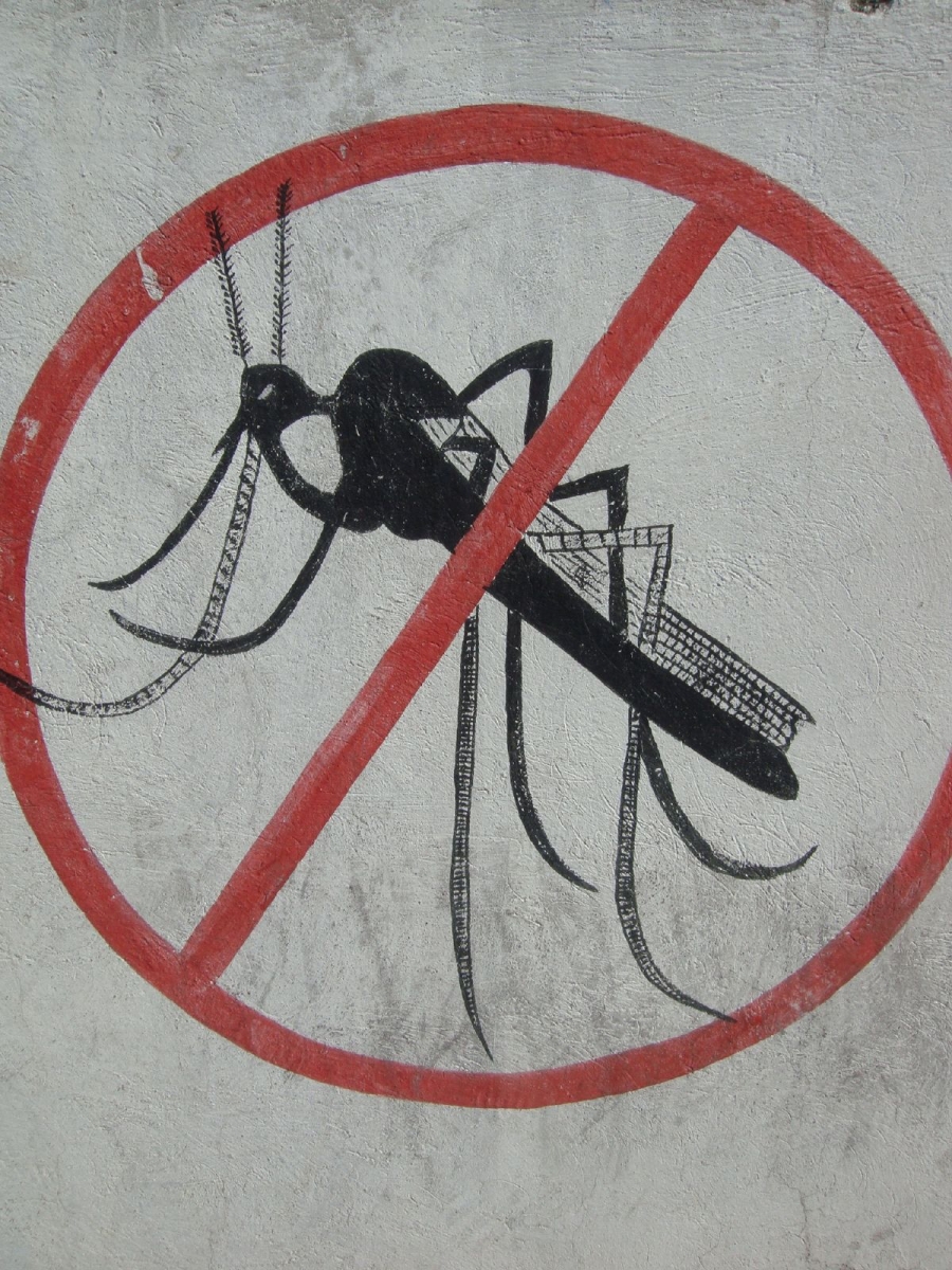 Anuncian megaoperativo en Jojutla y Xoxocotla contra mosquito transmisor del dengue