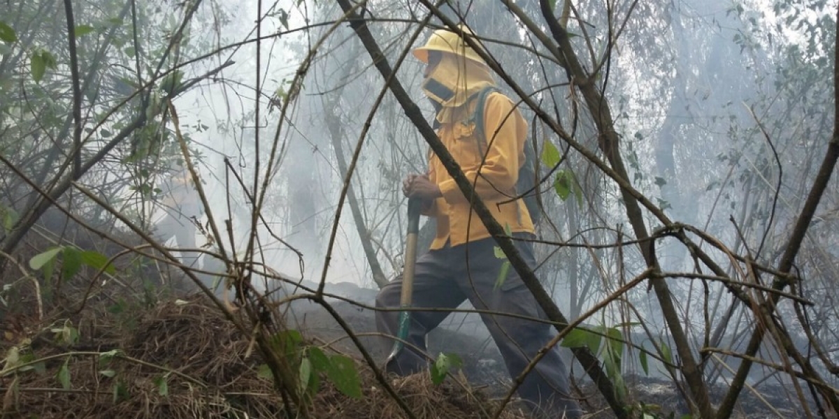 Continúan activos tres incendios forestales