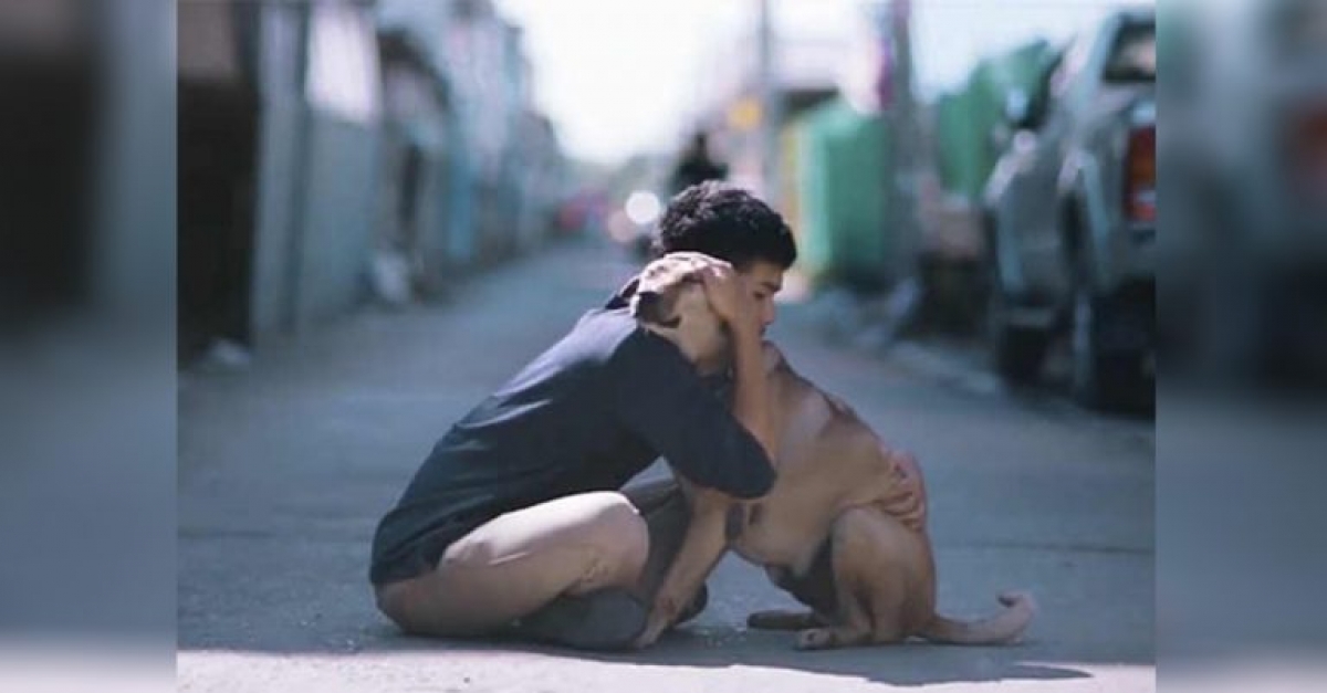 Joven abraza a perros callejeros y sus reacciones son increíbles!