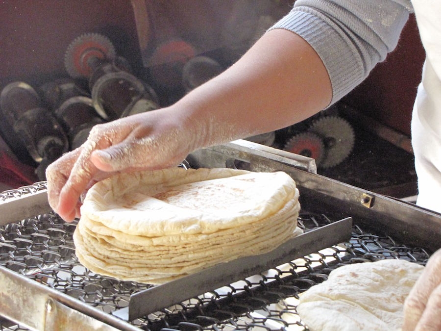 Analizan incremento del precio de la tortilla el próximo año