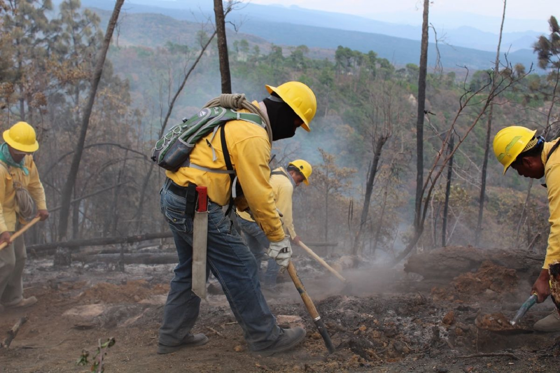 Actividades agropecuarias causan mayoría de incendios forestales en Morelos