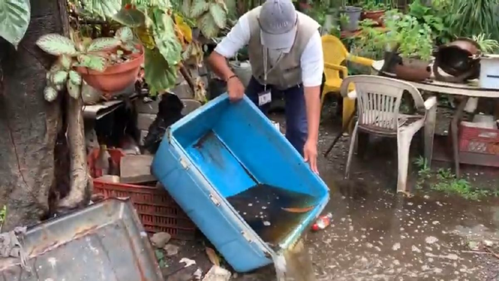 Llaman a tomar medidas para prevenir casos de dengue en la zona sur