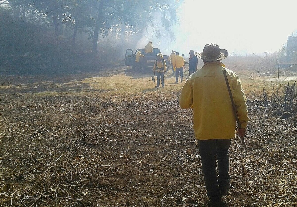 Se han dañado más de dos mil 500 hectáreas por incendios forestales