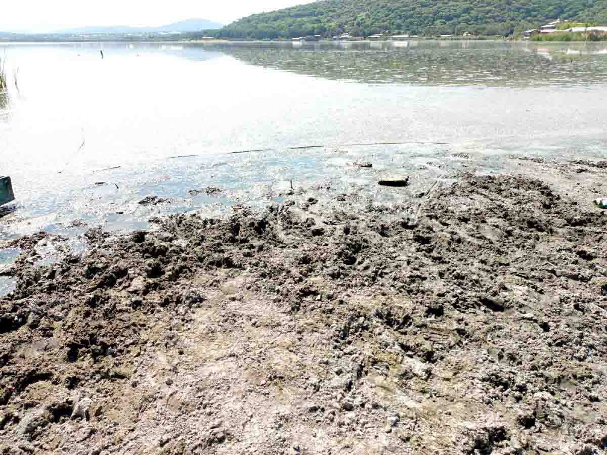 Denuncian que el nivel de la laguna de Coatetelco sigue bajando