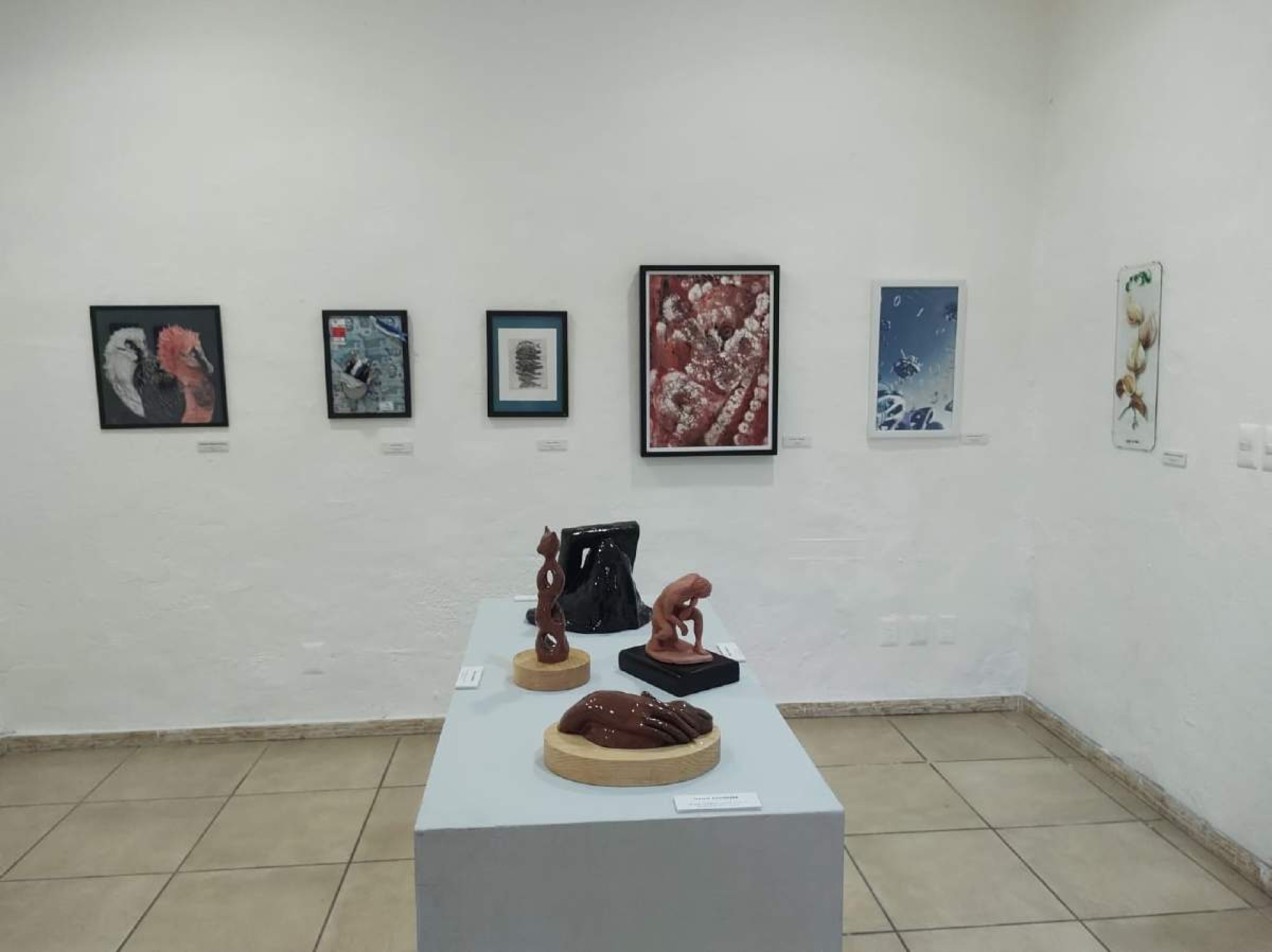 El Arte de la Museografía