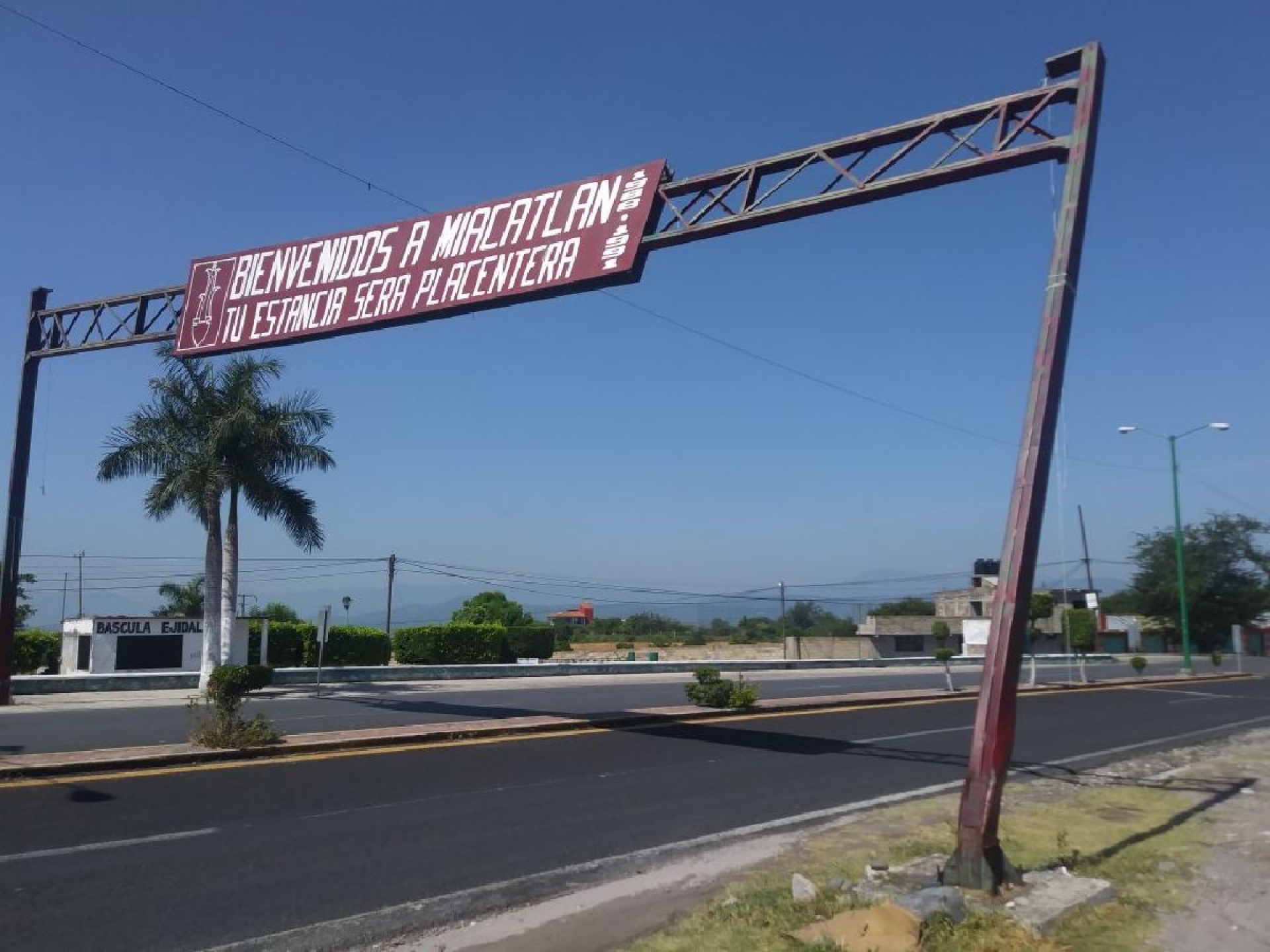 Caída de árboles y letreros, el saldo de los ventarrones en Miacatlán: PC