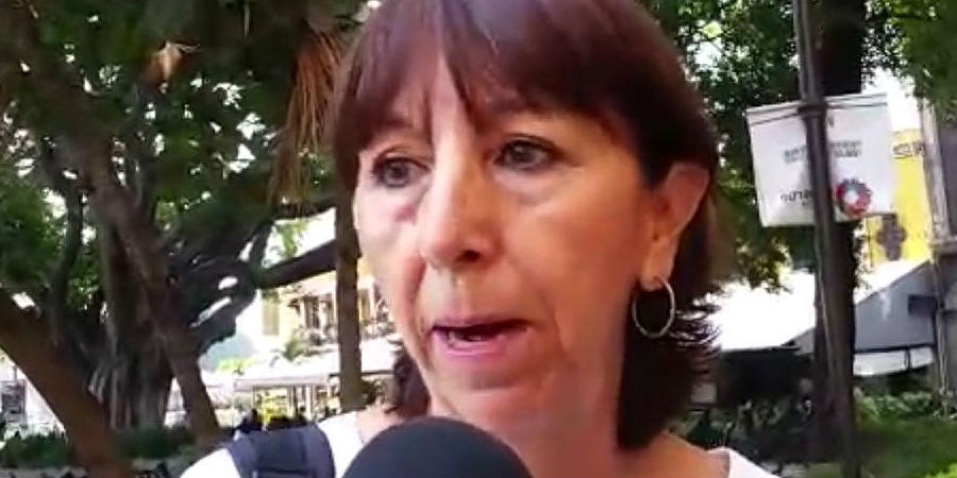 Informa activista que habrá segunda etapa de reforestación, con 16 mil árboles