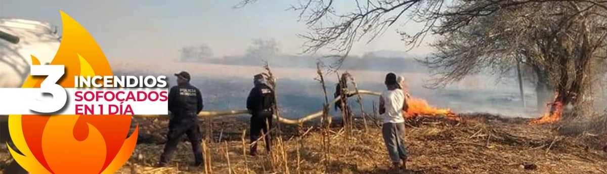 Sofocan tres incendios forestales en un solo día