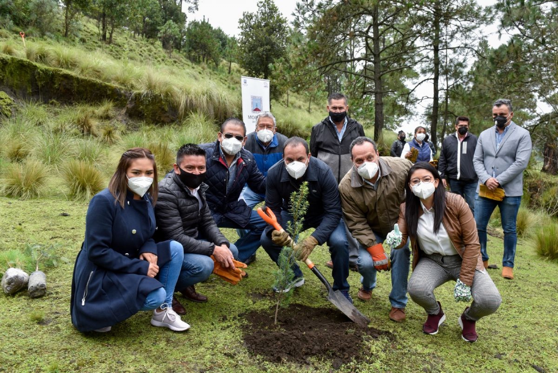 Concluye la plantación de más de 88 mil árboles en Morelos