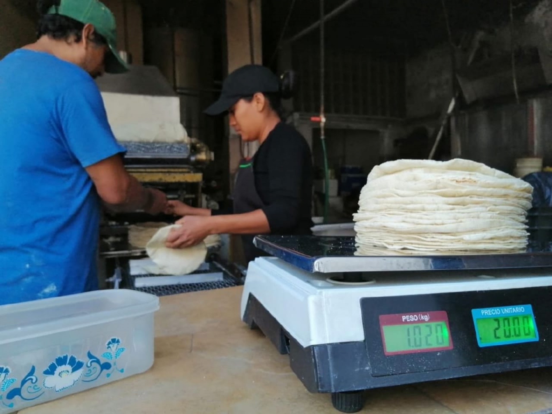 Garantizado, abasto de maíz; no hay justificación para subir precio de tortilla: Profeco