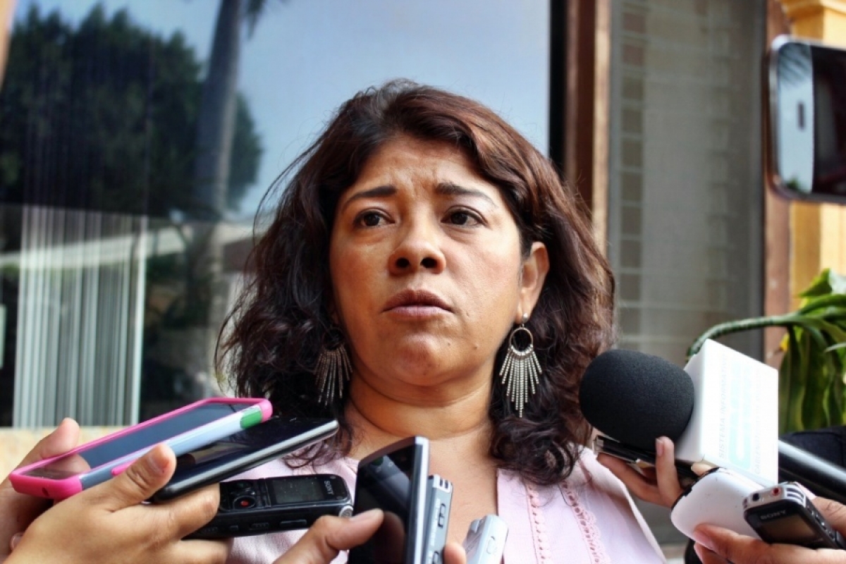 Segob no debe dar por cumplida Alerta de Violencia de Género: Garduño Juárez