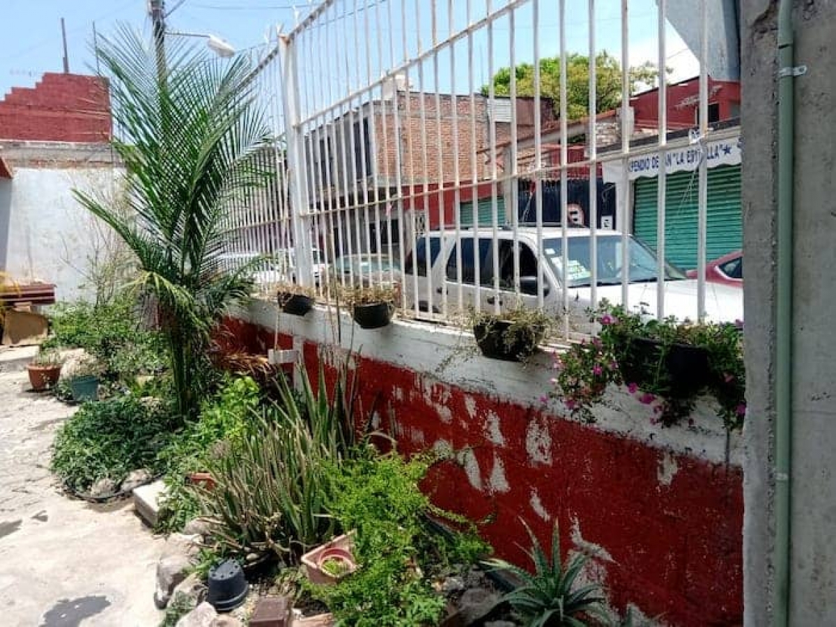 Quieren rescatar plantas en maceta que se secaron en centro de Jojutla