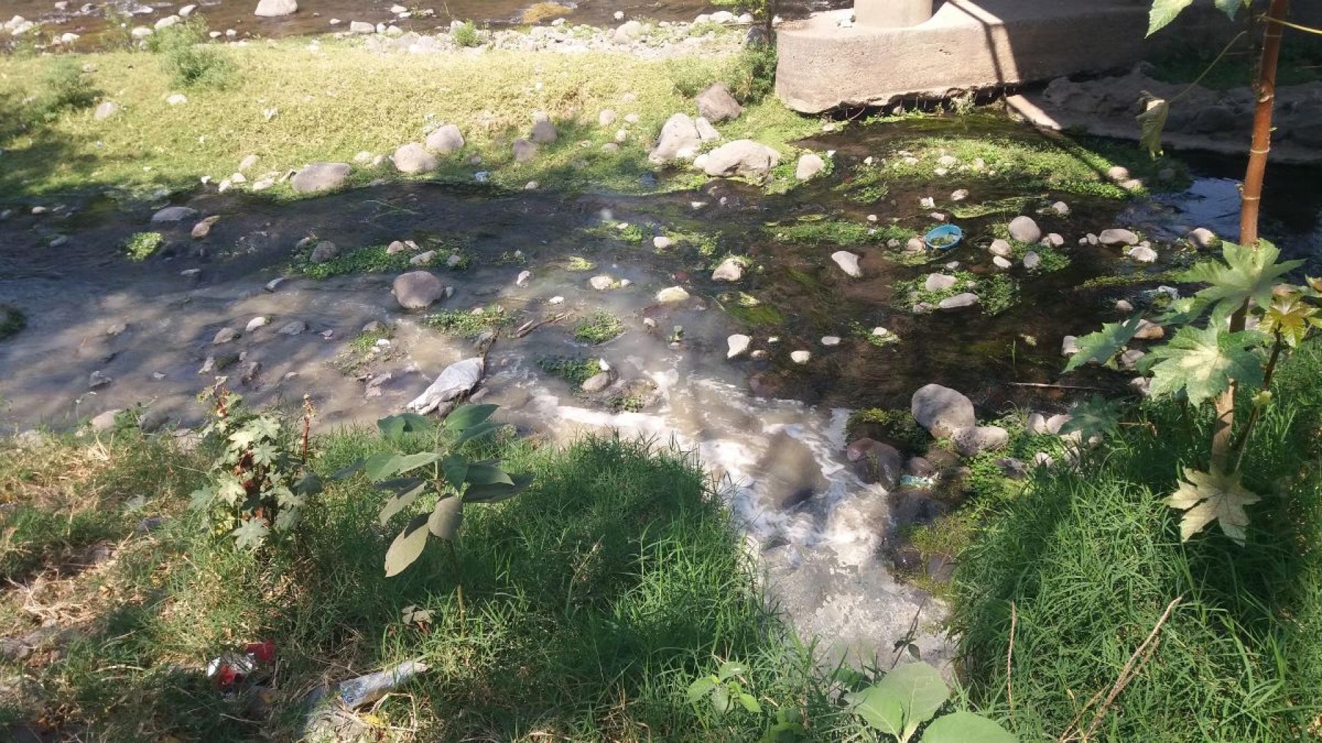 Continúa la contaminación del río Cuautla con aguas negras: vecinos