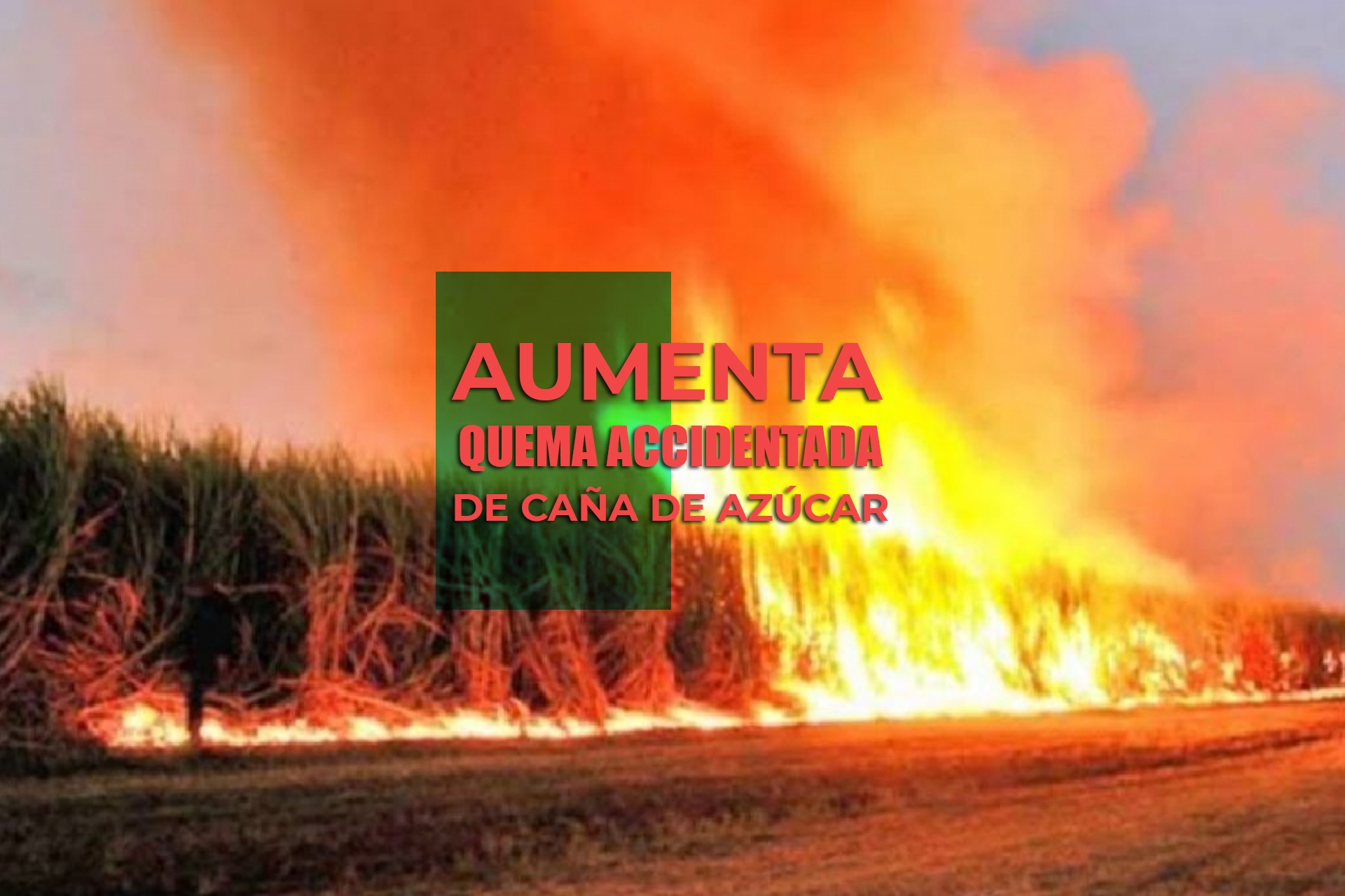 Aumenta la quema de caña de azúcar en Emiliano Zapata