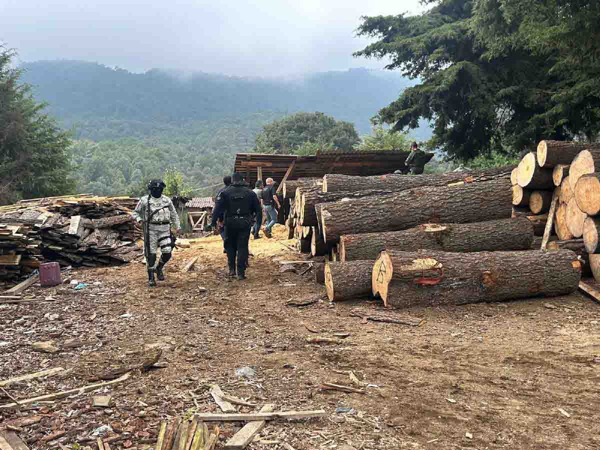Desmantelan otros dos aserraderos clandestinos en Huitzilac