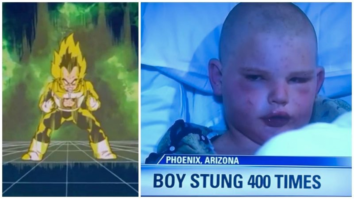 Niño sobrevive a la picadura de 400 abejas africanas “elevando su Ki como Vegeta”